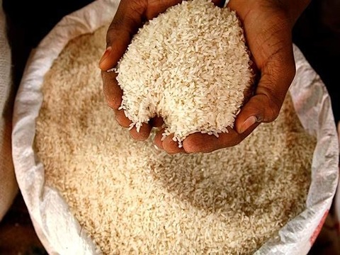 تصویر 3 از قیمت خرید برنج نیم دانه اعلا + فروش ویژه